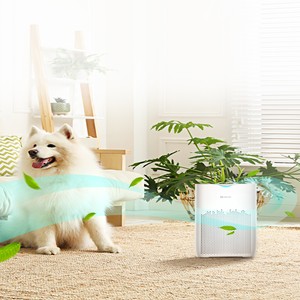 PREČIŠĆIVAČ VAZDUHA CS-EB250A